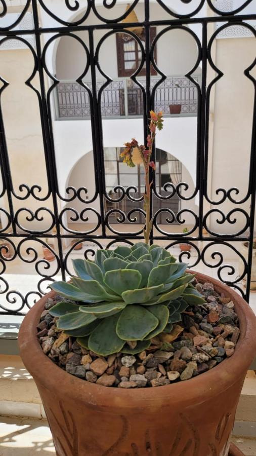 Riad Nohad Marrakech Marrakesh Ngoại thất bức ảnh