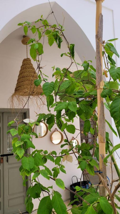 Riad Nohad Marrakech Marrakesh Ngoại thất bức ảnh